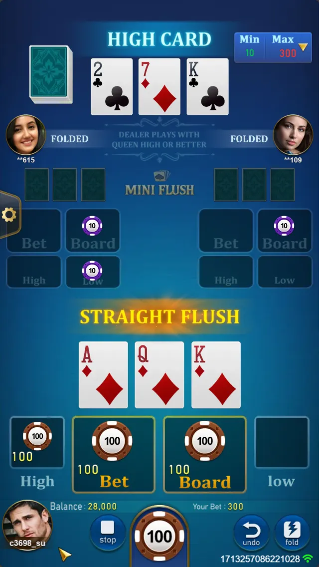 MINI FLUSH Screenshot 2