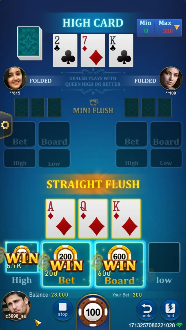 MINI FLUSH Screenshot 3