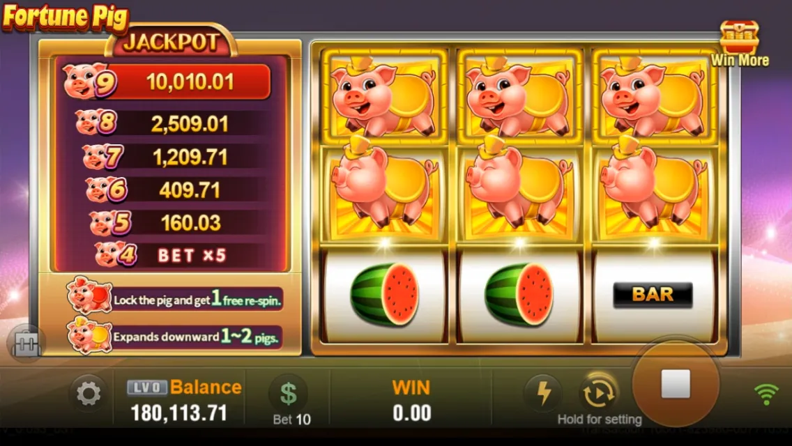 Fortune Pig Screenshot 4