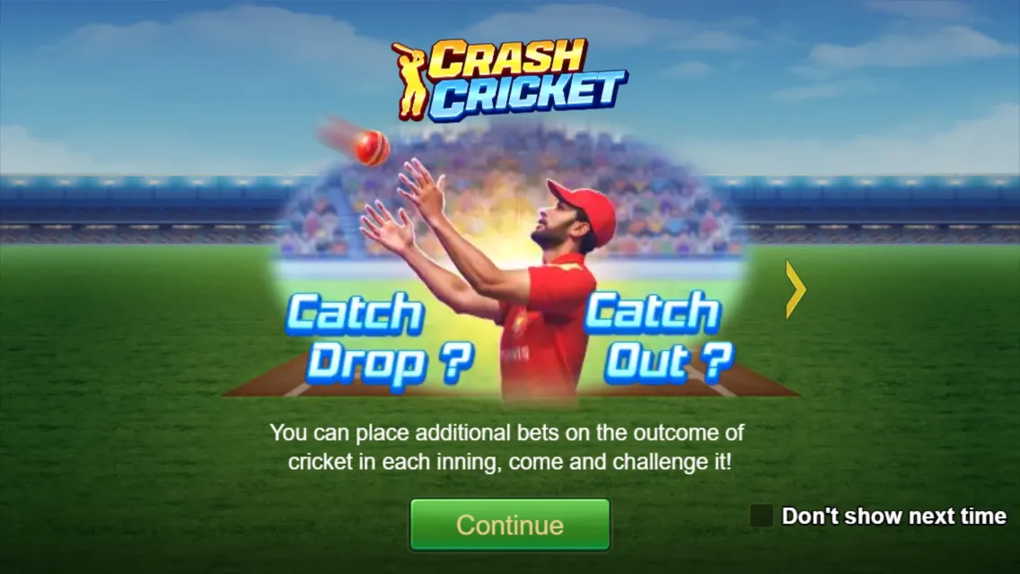 Crash Cricket Screenshot 2