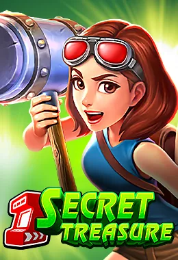 SECRET TREASURE